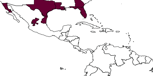 map of Minagenia montisdorsa     Dreisbach, 1953